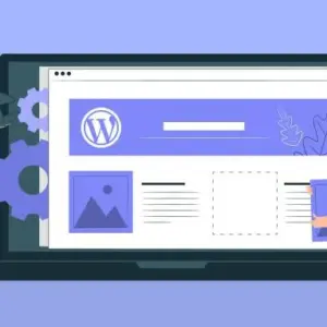 WordPress Theme Customization